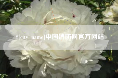 白银中国消防网官方网站