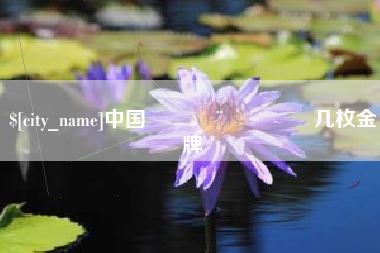 白银中国🇨🇳几枚金牌