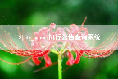 白银执行公告查询系统