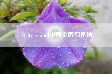 白银中国金牌都是啥