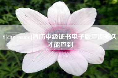 白银消防中级证书电子版查询多久才能查到
