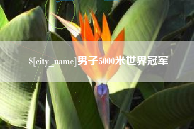 白银男子5000米世界冠军