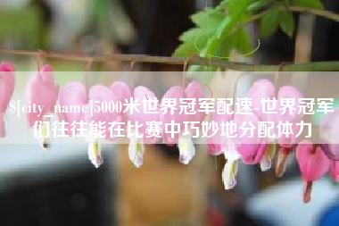 白银5000米世界冠军配速-世界冠军们往往能在比赛中巧妙地分配体力