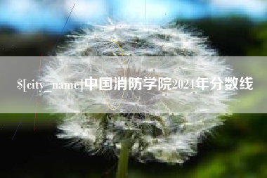 白银中国消防学院2024年分数线
