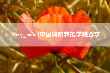 白银中国消防救援学院要求