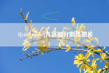 白银九宫图分割线图片