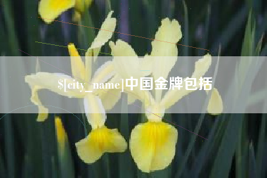 白银中国金牌包括
