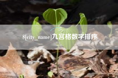 白银九宫格数字排序