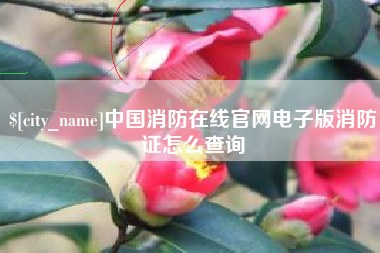 白银中国消防在线官网电子版消防证怎么查询