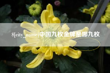 白银中国九枚金牌是哪九枚