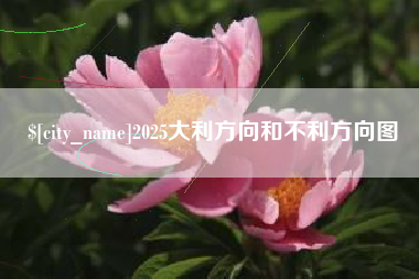 白银2025大利方向和不利方向图