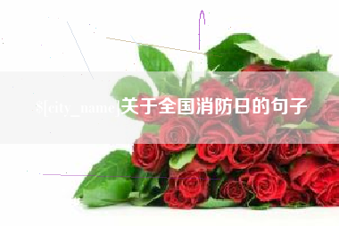 白银关于全国消防日的句子