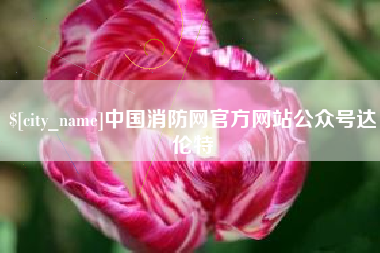 白银中国消防网官方网站公众号达伦特