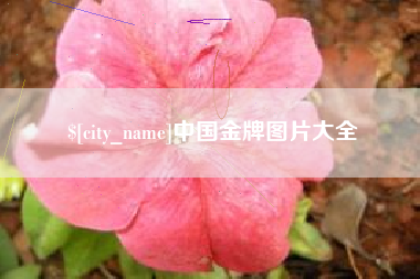 白银中国金牌图片大全