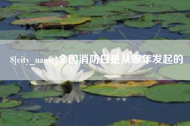 白银全国消防日是从哪年发起的