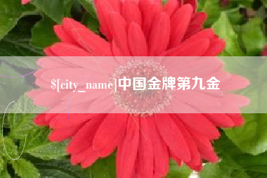 白银中国金牌第九金