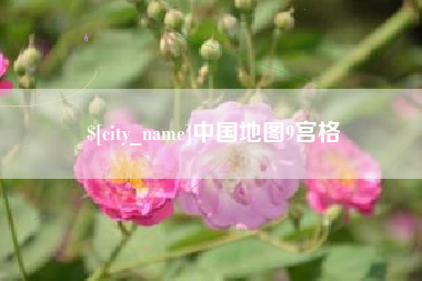 白银中国地图9宫格
