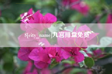 白银九宫排盘免费