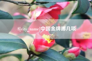 白银中国金牌哪几项