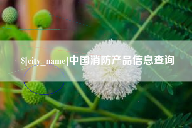 白银中国消防产品信息查询