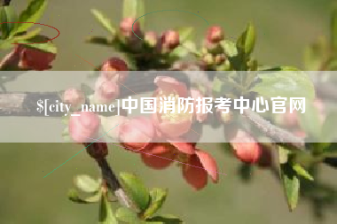 白银中国消防报考中心官网