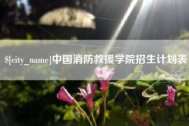 白银中国消防救援学院招生计划表