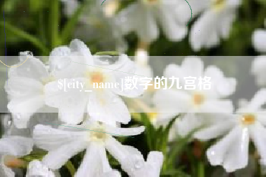 白银数字的九宫格