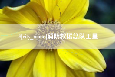 白银消防救援总队王星