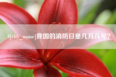 白银我国的消防日是几月几号？