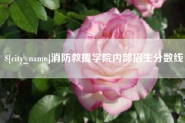 白银消防救援学院内部招生分数线