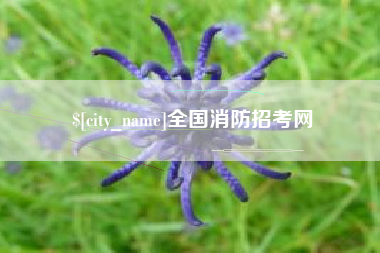 白银全国消防招考网