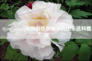 白银中国消防救援学院山东选科要求