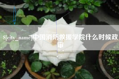 白银中国消防救援学院什么时候政审
