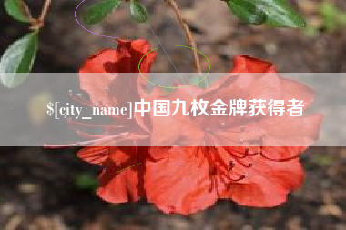 白银中国九枚金牌获得者