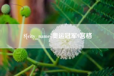 白银奥运冠军9宫格