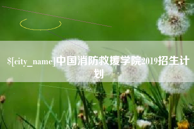 白银中国消防救援学院2019招生计划