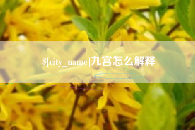 白银九宫怎么解释