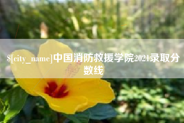 白银中国消防救援学院2021录取分数线