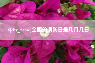 白银全国的消防日是几月几日