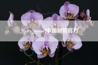 白银中国消防官方