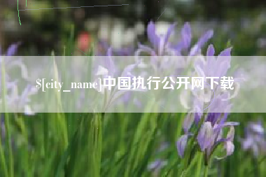 白银中国执行公开网下载