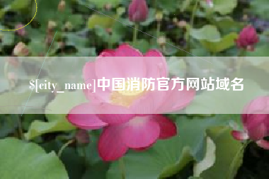 白银中国消防官方网站域名