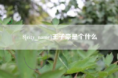 白银王子豪是个什么