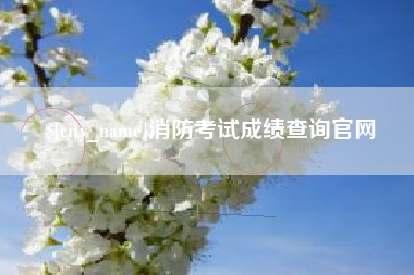 白银消防考试成绩查询官网
