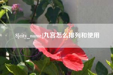 白银九宫怎么排列和使用