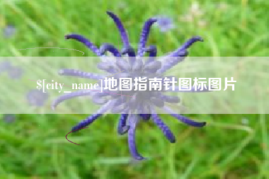 白银地图指南针图标图片