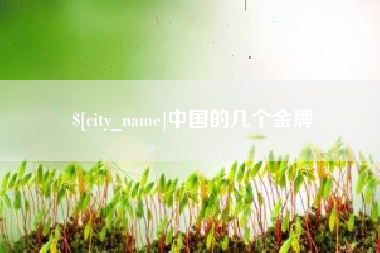 白银中国的几个金牌