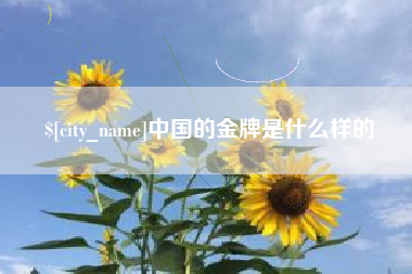 白银中国的金牌是什么样的
