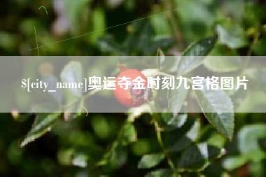 白银奥运夺金时刻九宫格图片