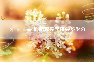 白银消防救援学院要多少分